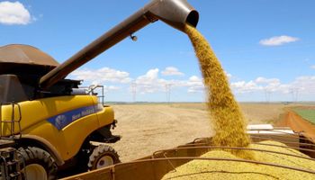 Agroconsult eleva previsão da safra de soja para 156,5 milhões de toneladas