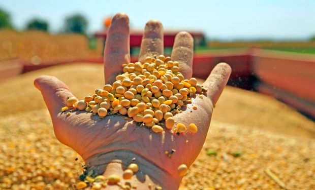 Produtor precisa 50 sacas de soja por hectare com cotação a R$ 100 para evitar prejuízo