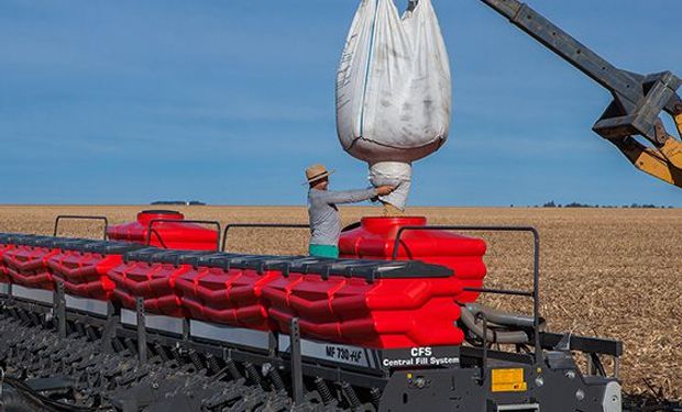 Soja: las próximas lluvias serán claves para el llenado del grano