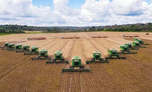 Com colheita concluída, SLC tem queda de 16% na produtividade da soja nesta safra