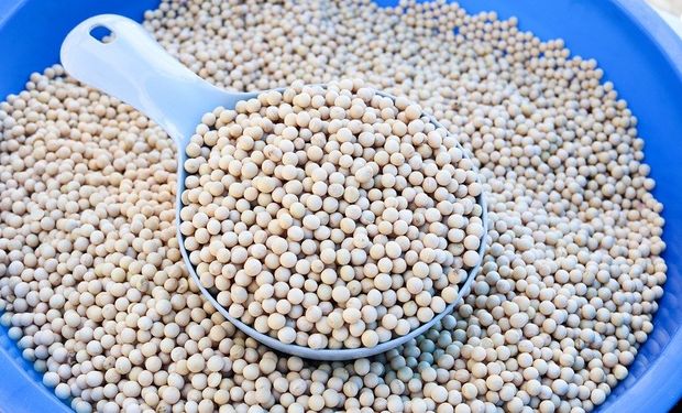 Soja sobe no Brasil com retração de vendedores e demanda mais firme, aponta Cepea