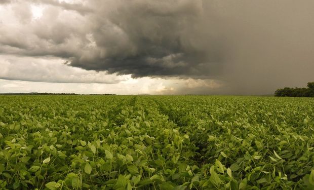 Maiores volumes de chuva foram registrados na região Sul. (Foto - Fernando Dias/SEAPDR)