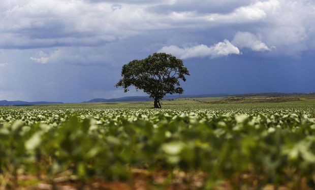 Brasil estuda recorrer à OMC contra lei antidesmatamento da União Europeia