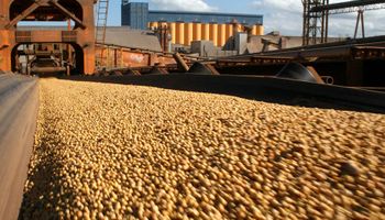 Tensão no Oriente Médio impulsiona soja no exterior e eleva preços no Brasil