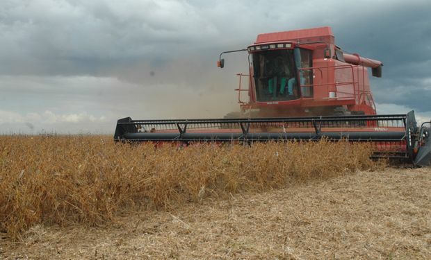 Colheita da soja em Tocantins. (Foto: Madson Maranhão/Governo do Tocantins)