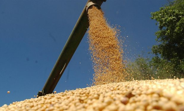 Los avances de la cosecha en Sudamérica suman presión a los precios de la soja en Chicago.