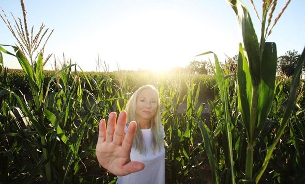 Soja, trigo y maíz: los tres factores que están detrás de las fuertes variaciones