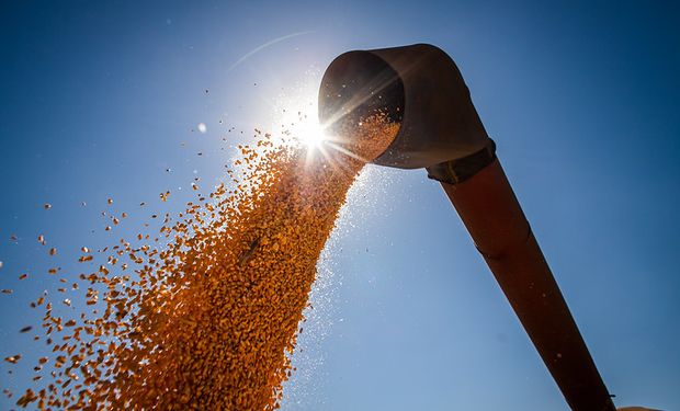Soja y maíz “calentando precios”: los temas del momento para los productores y la cola de buques que empieza a crecer