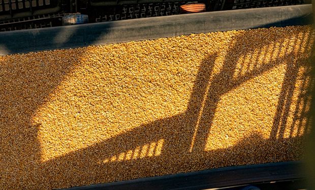 Brasil deverá ter queda de 6% nos embarques de soja em 2024