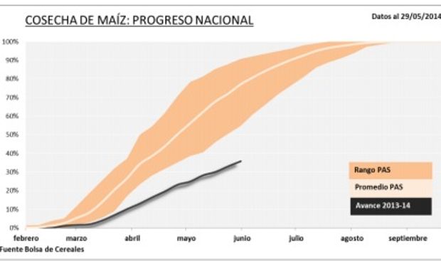 Progreso nacional de la cosecha de maíz