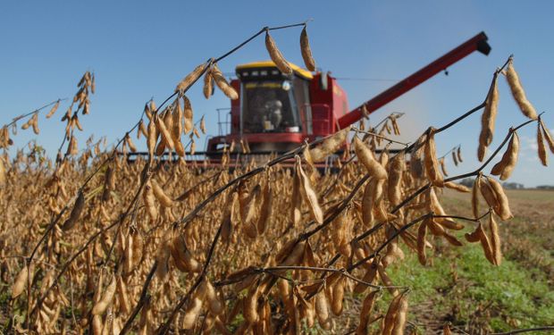 Brasil: Reducen estimación de soja a 87,5 M. Tn.