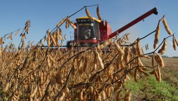 Brasil: Según el gobierno la cosecha de soja sería de 85,44 M. Tn.