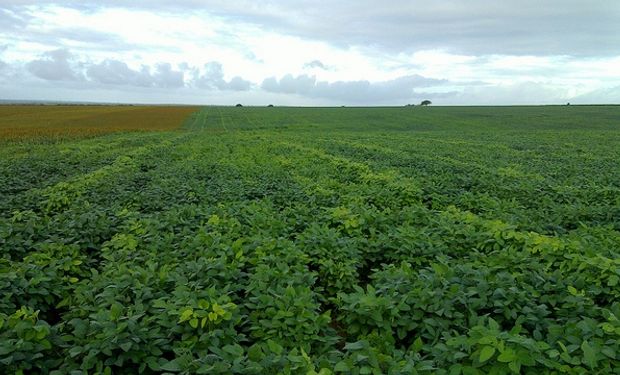 El agro no soporta la presión impositiva