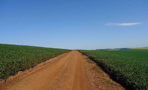Los "Sin Tierra" hicieron competitivo al sector