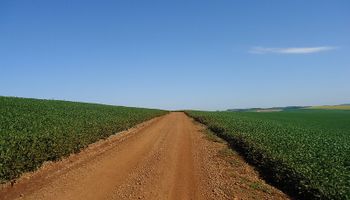 En dos años, el valor de la tierra cayó 15%