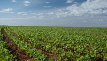 El déficit que aparece cuando baja la soja