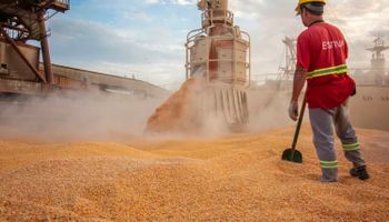 Abiove revê projeções com menor produção e maior exportação de soja