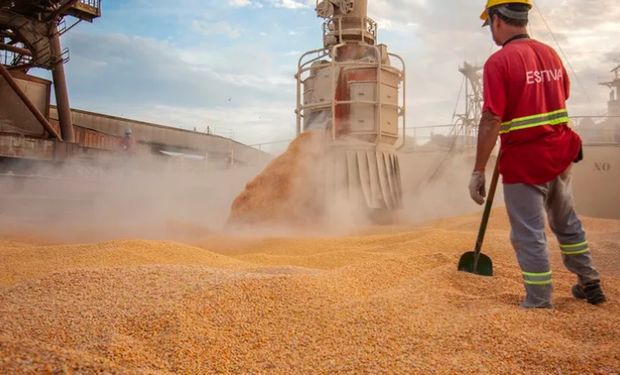 Abiove revê projeções com menor produção e maior exportação de soja