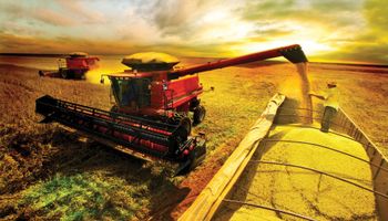 Plano Safra será de R$ 516,2 bilhões para grandes e médios produtores
