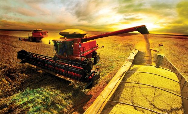 Plano Safra será de R$ 516,2 bilhões para grandes e médios produtores