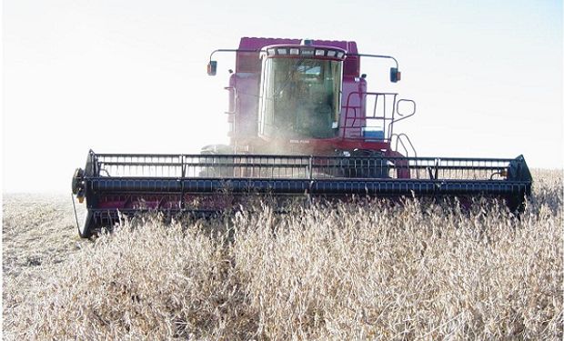 El campo tiene  granos de la cosecha vieja por unos US$4700 millones.