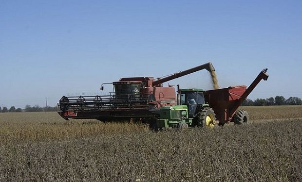 Así lo señaló hoy la primera estimación del Sector Agrícola elaborado por IES Consultores.