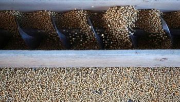 Para seguir comprando a Estados Unidos, Brasil modificó una norma que le permite importar más soja GMO