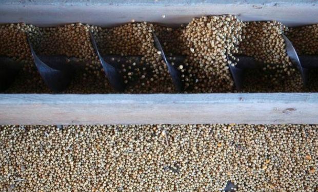 Para seguir comprando a Estados Unidos, Brasil modificó una norma que le permite importar más soja GMO