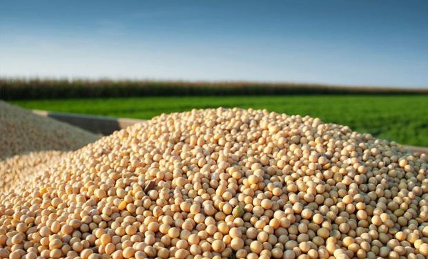Buscan saldar una pelea con Monsanto.