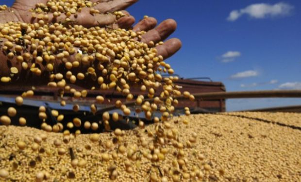 Granos: elevados stocks presionan los precios a la baja.