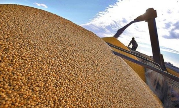 El campo aportará u$s 30.000 millones a la economía argentina.