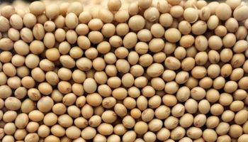 Soja: difunden los nombres de 2528 productores que no hicieron una presentación ante el Inase