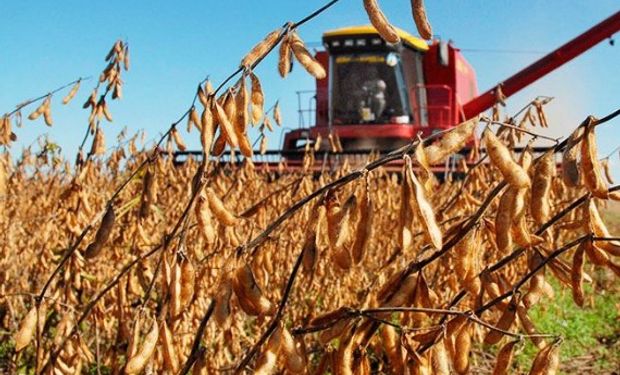 Productores autoconvocados reclaman no postergar la rebaja de las retenciones.