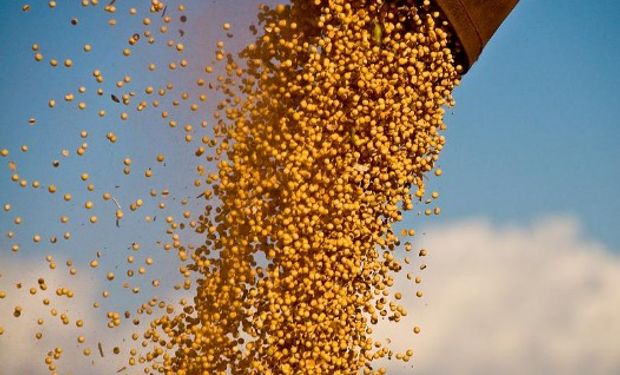 Sigue atrasada la comercialización del ciclo 2015/16.