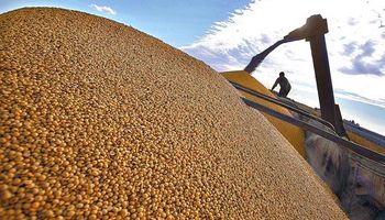 Se licuaron los supuestos económicos del negocio sojero