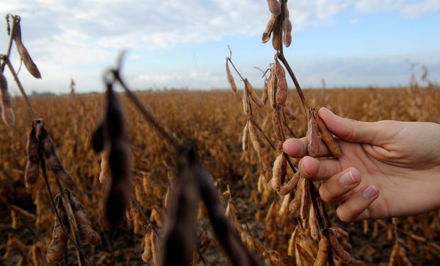 La entidad también reclamó la creación de una Ley de Seguros Multirriesgos para pequeños y medianos productores rurales.