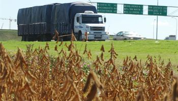 Córdoba: fuerte pérdida económica por la caída en la producción de soja