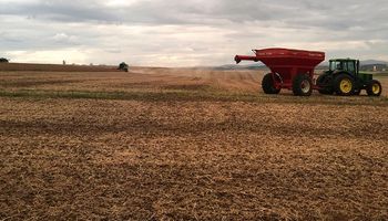 El mercado de granos se anticipa a posibles recortes productivos en Sudamérica
