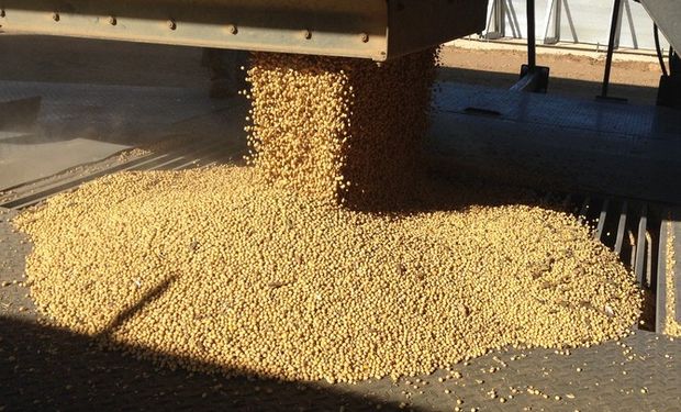 Nuevamente pagaron hasta $3.600 por la soja con entrega inmediata.