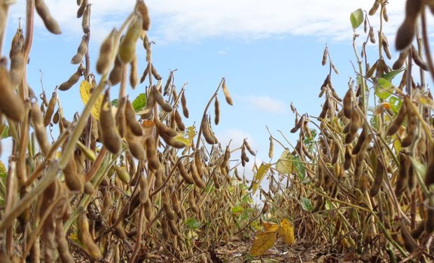 Mejoró la situación sobre la zona agrícola núcleo