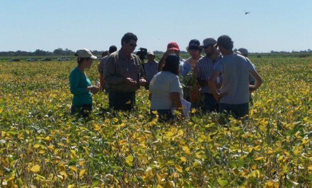 Prácticas para maximizar los rindes, con un manejo eficiente de los recursos.