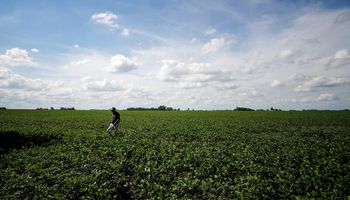 La soja subió frente a la falta de pronósticos de lluvia en Argentina