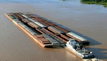 La soja importada pagará un nuevo impuesto
