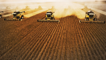 Campaña de soja 2013/14 en Brasil llegaría a 88,4 millones de toneladas
