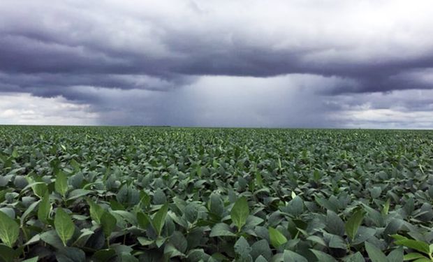 Alerta por tormentas y lluvias intensas en el centro-norte del país