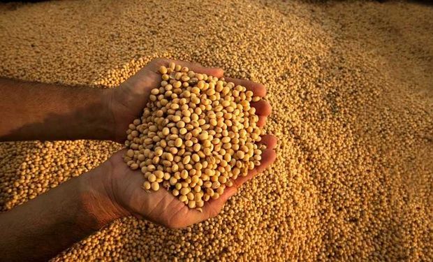 Al menos para los próximos diez días, los pronósticos no auguran lluvias relevantes para las zonas agrícolas argentinas.