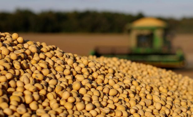 Chicago: máximo de 5 años para el trigo, 2 años para la soja y 8 meses y medio para el maíz