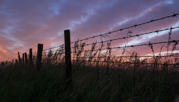Apuesta a una restricción hídrica en Estados Unidos