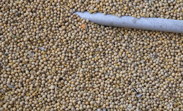 China sale de compras para capturar el precio competitivo de la soja y el maíz