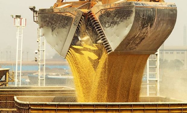 La noticia de que China recortará el impuesto al valor agregado para incentivar el crecimiento económico está generando sostén en las commodities.